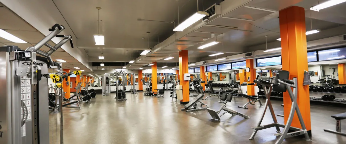 Strength training and free weight area