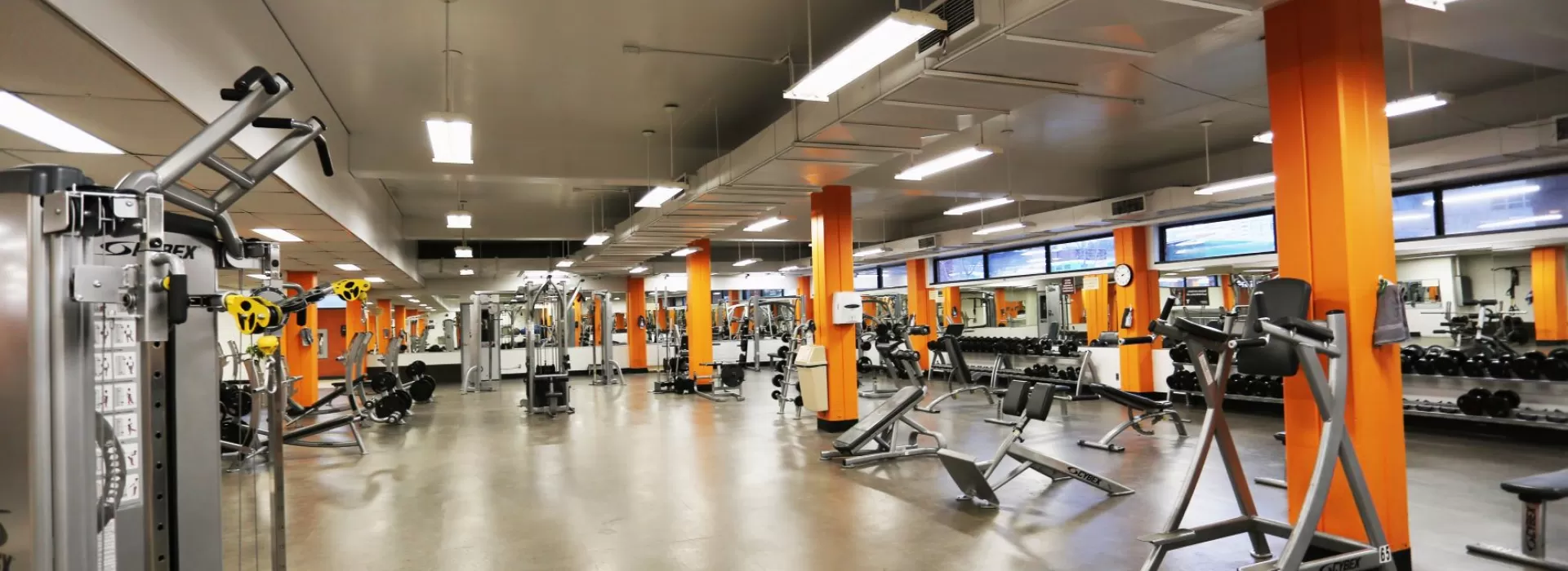 Strength training and free weight area